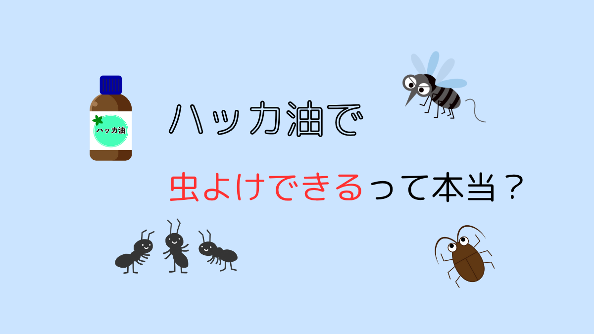 ハッカ油で虫よけできる？